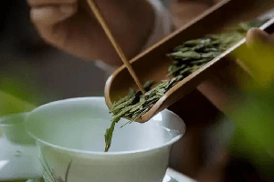 冲泡绿茶的3种“投茶”方式，学会后，你泡的茶好喝不止一点点