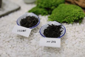 中国饮茶文化图片