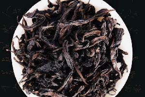 菊花茶有多少种品种
