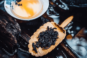 千岛湖著名的茶叶是什么