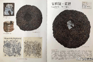 重庆老鹰茶树图片