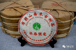 龙润茶历史