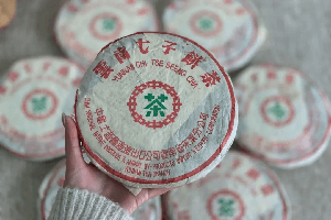 中茶湖南安化第一茶厂有限公司