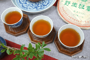 龙井和安吉白茶营养价值
