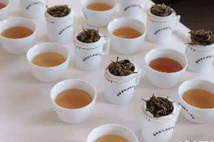 茶叶品牌分类