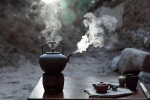 茶一般都是泡着喝的，普洱生茶可以煮着喝吗？