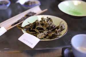 湖南茶叶研究所茶树品种