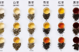 哪些因素影响茶叶中的咖啡因？常见的茶类，咖啡因含量比较