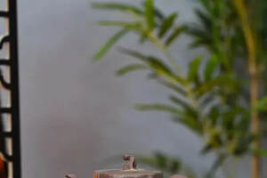 树桩壶，实力派花器陶手贾科平，木岩徒弟，原矿青降坡泥250cc