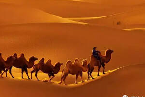 一种工艺，带你走进最火的《沙漠骆驼》