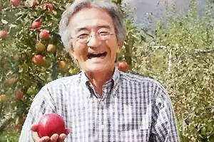 匠心丨这个日本傻瓜11年才种出2个苹果，却最终感动了全国……