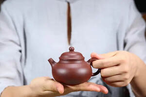 想要泡一壶好茶！那你知道用紫砂壶泡茶分哪几步吗？