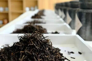茶研室 丨 熟茶固态发酵过程中影响品质变化的因素——温度