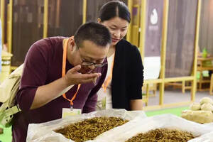 2020中国(深圳)国际秋季茶产业博览会