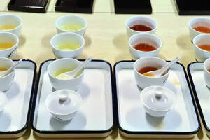 （25）如何鉴别茶叶（如何鉴别茶叶的质量）