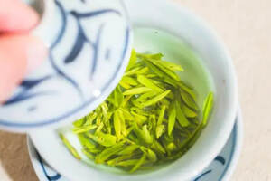 绿茶的鲜爽滋味是怎么形成的？