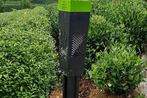 杭州西湖区：色板、绿色“路灯”…万亩龙井有了智能防控“管家”