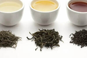 青茶有哪些品种名称