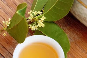 凤凰单丛 | “日生香，火生色”，如何去分辨炭焙茶和电焙茶？