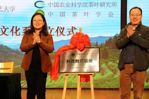 中国茶叶学会共同成立浙江省老龄文艺大学茶文化系