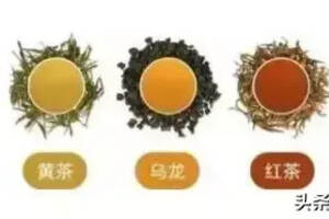 最全的中国茶知识，建议收藏（中国茶知识(建议收藏)）