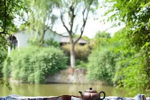 品茶时光｜想要一个，这样的院子，沏茶看鱼