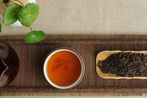 “宫廷普洱”是皇帝喝的茶吗？