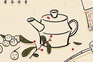 白露茶是什么茶？为什么白露茶更好喝？
