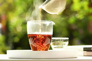 什么季节喝普洱茶比较好