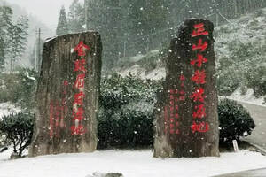 当桐木关的雪落成诗，今年武夷山的茶就更甜了