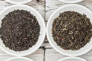 发酵茶有哪些种类