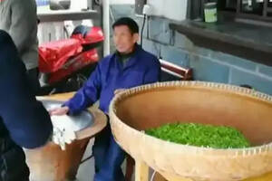 3000元一斤的“西湖龙井新茶”，竟是去年陈茶翻新的……