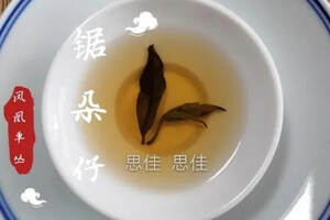 认识凤凰单丛茶，你喝的是哪个级别？
