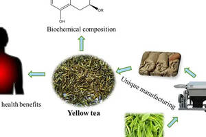茶与健康｜黄茶功能性成分与健康功效研究进展（二）