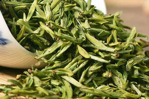 古树红茶是用叶还是芽