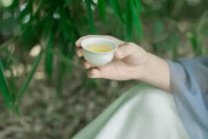 龙井是一种绿茶英语翻译