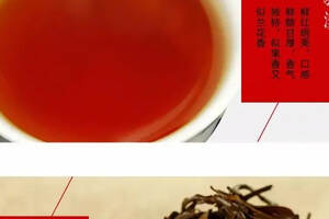 红茶干货丨坐在一起品红茶，怎么能少得了这红茶入门知识呢？