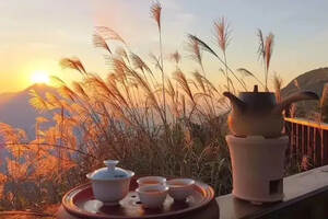 凤凰单丛，潮州地区具有代表性的茶叶，香气高扬且耐冲泡