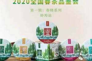2020全国春茶品鉴会~驻马店站|春晓布朗，包装品质都有了质的提升