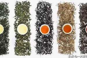 青茶绿茶红茶黑茶