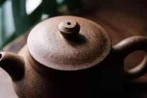 桦树茸可以当茶喝吗