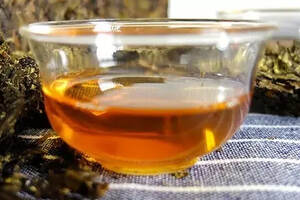 安化黑茶中的金花是什么菌