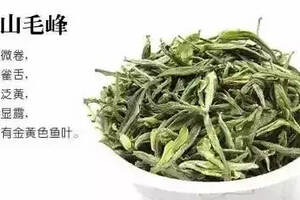 安徽黄山绿茶