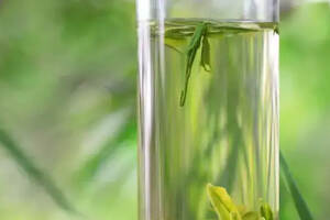 绿茶的三种科学泡饮法