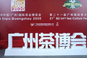 今年的广州茶博会你有什么新的发现？
