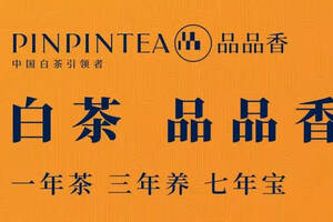 福鼎市人大代表团视察品品香茶产业综合体项目建设