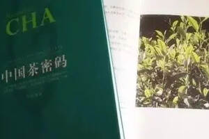 中国茶密码：茶是世界上最健康的饮料，不是之一
