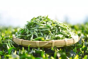 茶叶 农药 超标