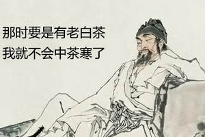 皇帝与茶的故事十二：宋宁宗开禧伐金损国力 杨万里一生好茶诗传今