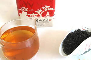 经常喝崂山红茶对身体有哪些好处？